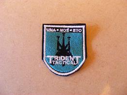 Trident Tactical beret badge